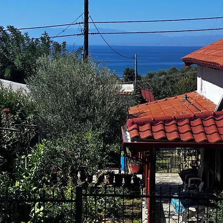 Summer View