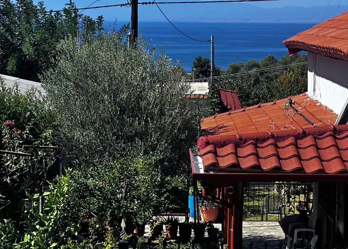 Summer View